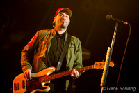 Hedley
