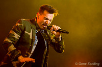 Hedley