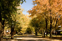 Fall Colours in Tecumseh